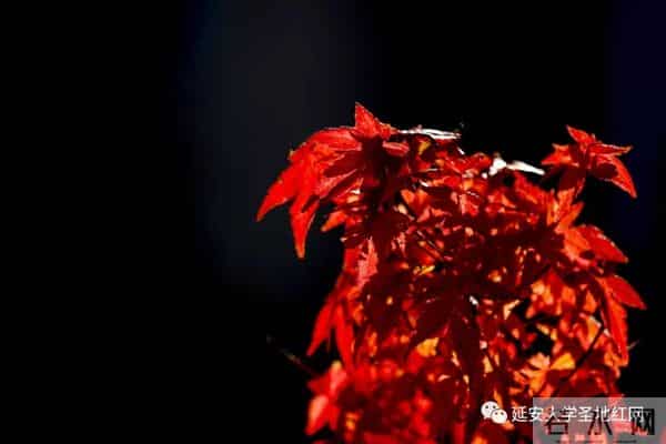 微信图片_20211028164910.jpg 微信图片_20211028164910.jpg