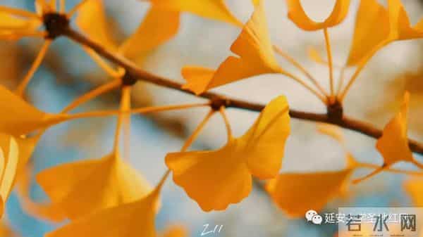 微信图片_20211028164726.jpg 微信图片_20211028164726.jpg