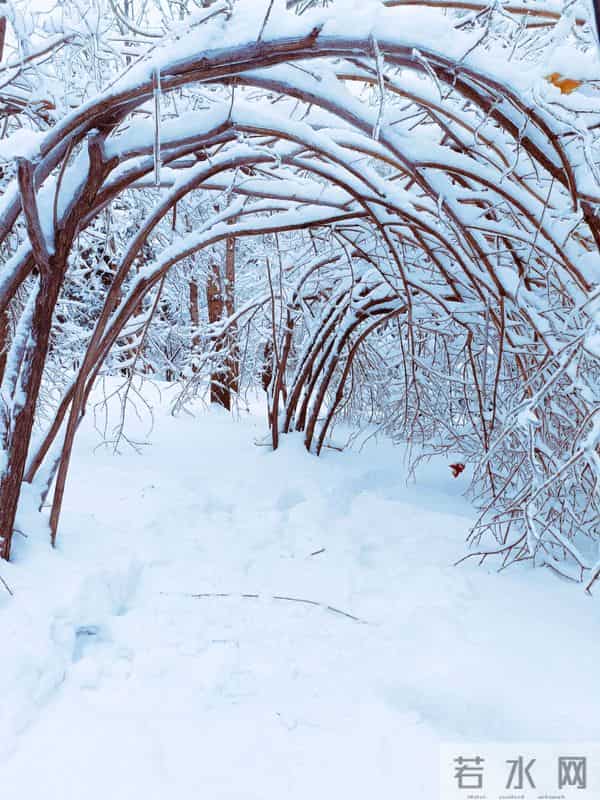 390C8C46F9DD838604E4B6450367686D.jpg 390C8C46F9DD838604E4B6450367686D.jpg