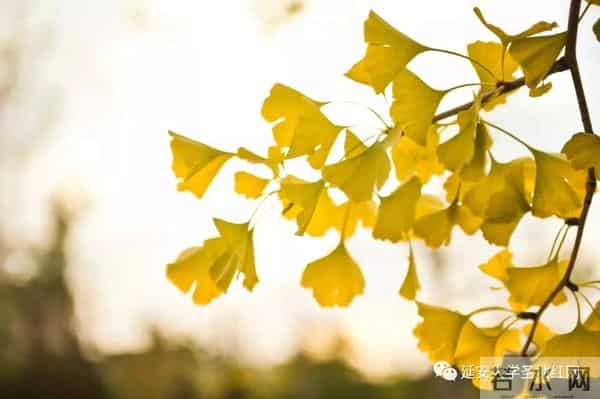 微信图片_20211028164814.jpg 微信图片_20211028164814.jpg