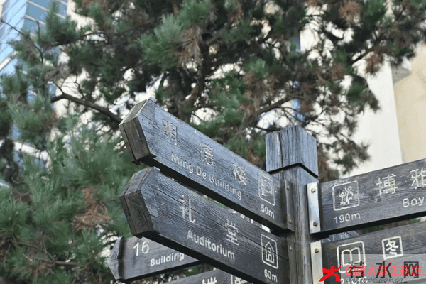 冬雪初至，一起来给校园“换装”吧