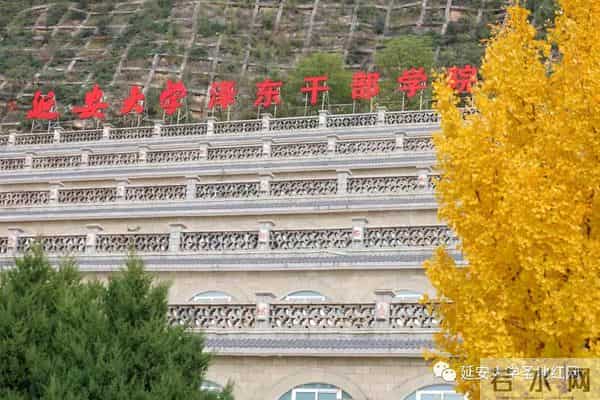 微信图片_20211028164853.jpg 微信图片_20211028164853.jpg