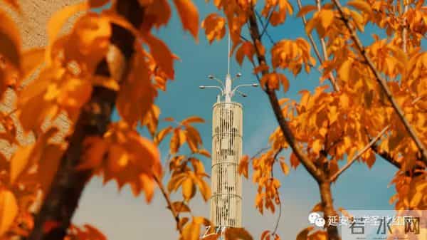 微信图片_20211028164904.jpg 微信图片_20211028164904.jpg