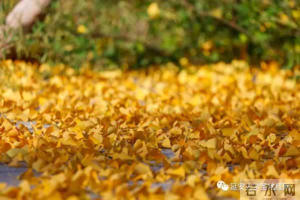 微信图片_20211028164943.jpg 微信图片_20211028164943.jpg