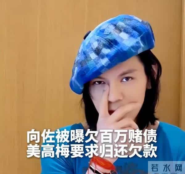 向佐被打事件真相