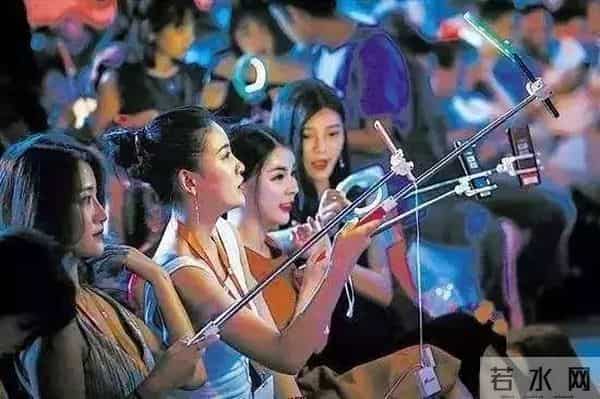 张禾禾个人资料