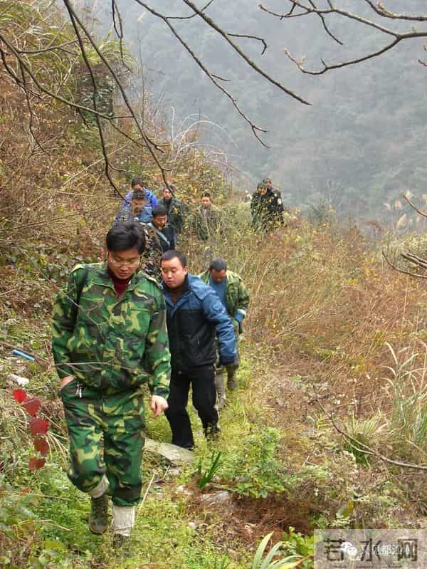 陈艾琳个人资料