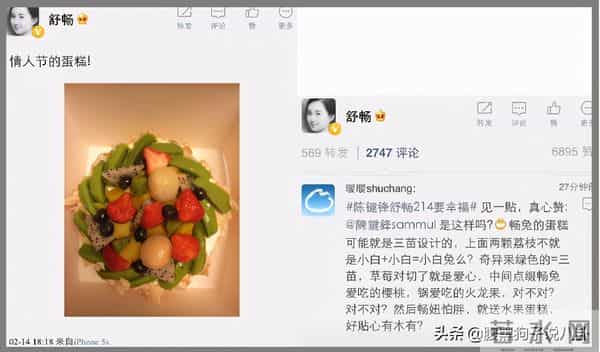 陈键锋女友舒畅