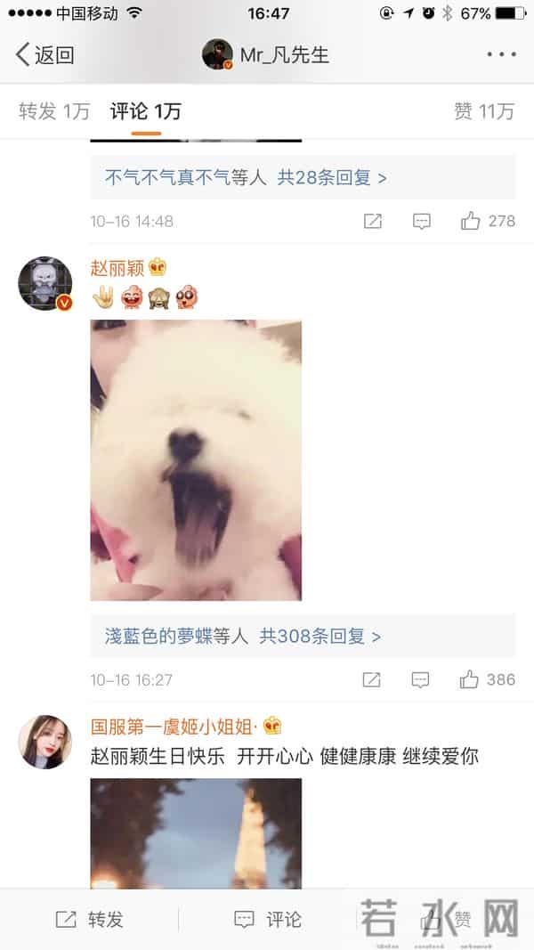 赵丽颖怀孕是吴亦凡