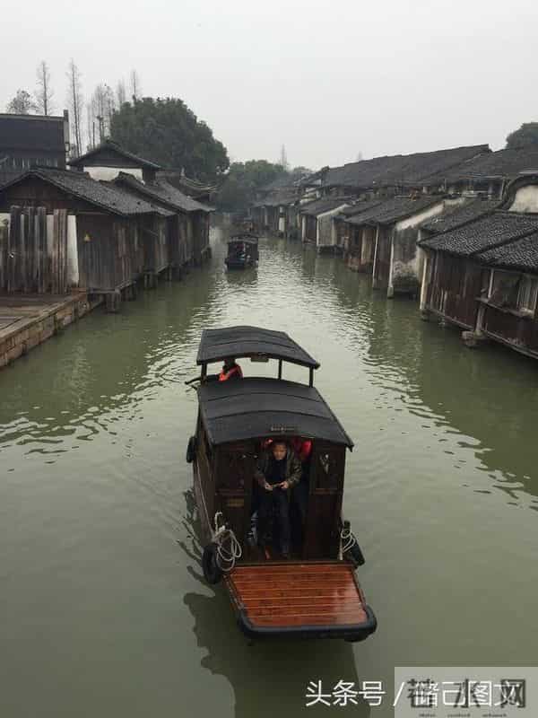 刘若英为什么叫奶茶