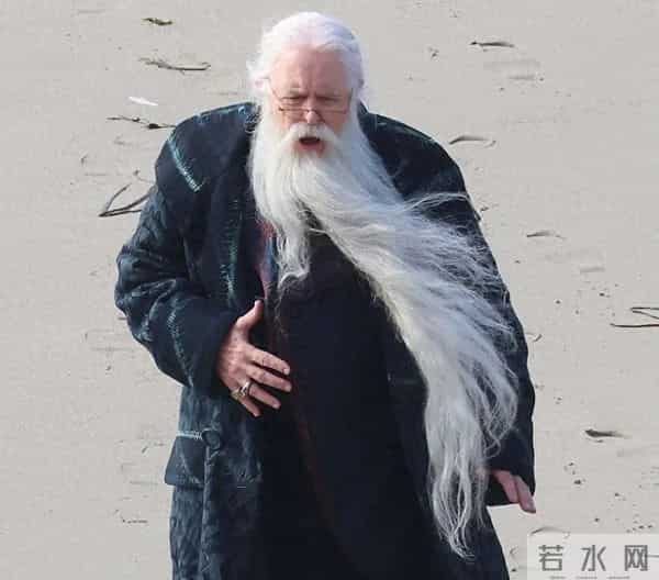 邓布利多扮演者