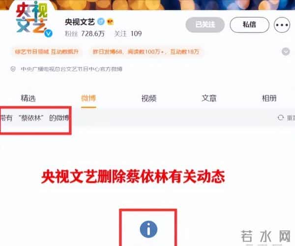 蔡依林个人简历