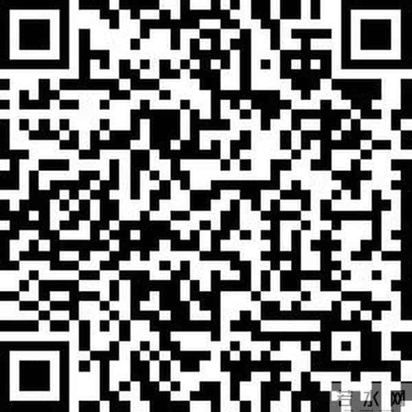 张禾禾个人资料