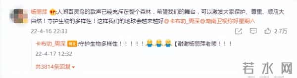 被周深回复140字