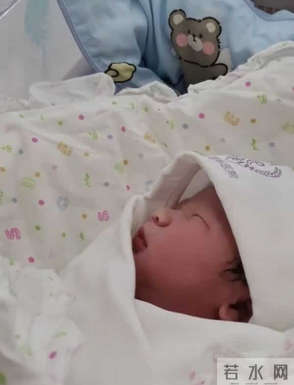 小鹏飞个人资料图片