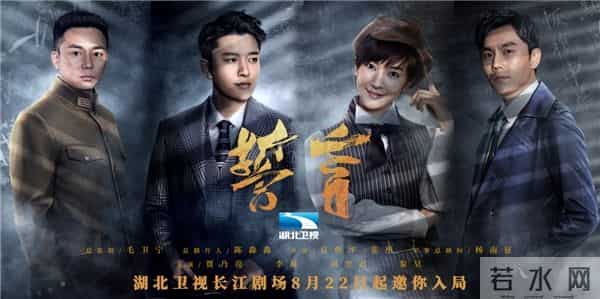 贾乃亮演的电视剧