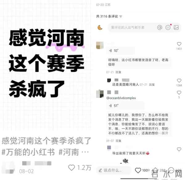 网上nt是什么意思梗