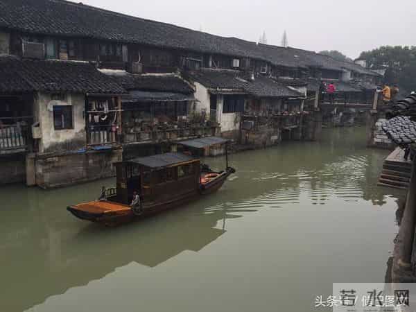 刘若英为什么叫奶茶