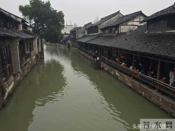 刘若英为什么叫奶茶