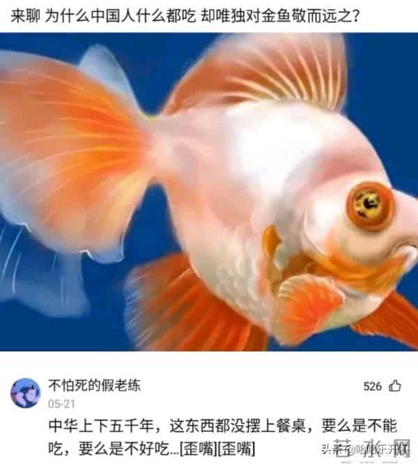 风雨无阻mp3下载