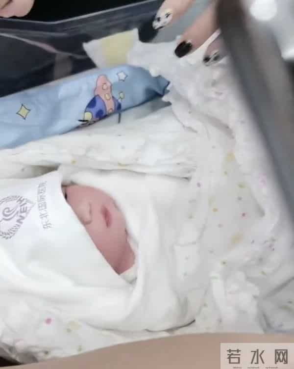 小鹏飞个人资料图片