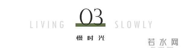 赵传个人资料简介