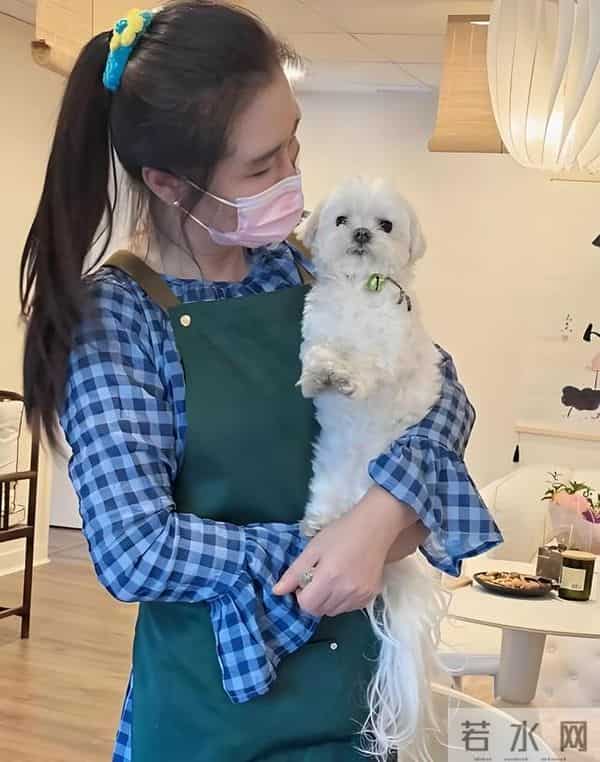 乘风破浪的姐姐总导演秒删