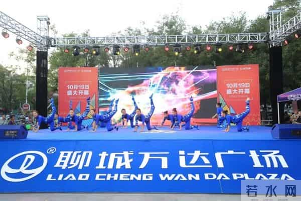 张禾禾个人资料