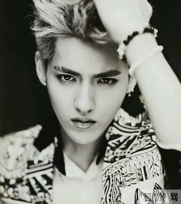 加拿大电鳗是什么梗和意思