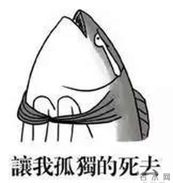 张云龙王一菲恋情