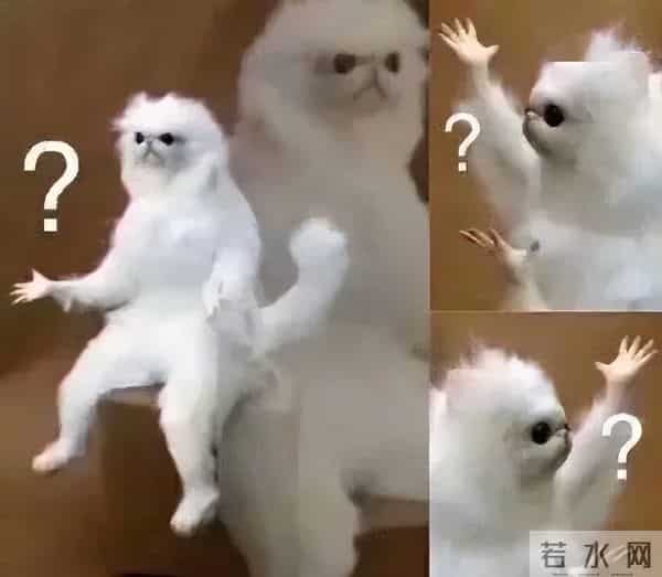 南柱赫女友金智秀