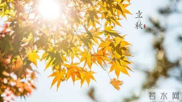 2023年立秋时间几点几分几秒钟