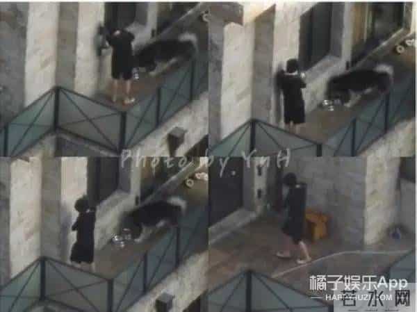 唐安琪烧伤再出新内幕