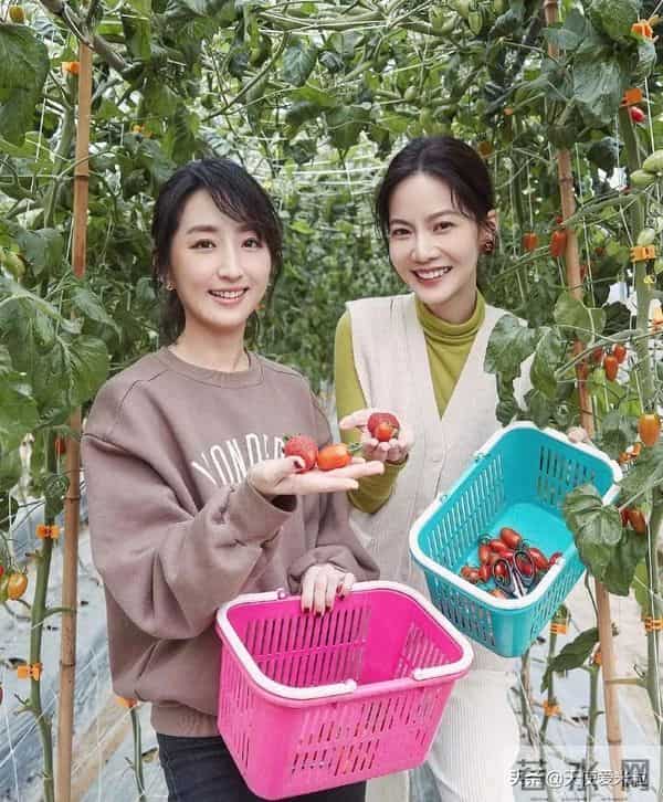 黑涩会美眉丫头资料