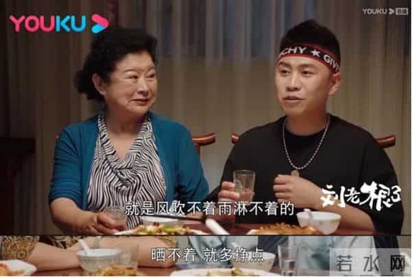 刘老根第三部评价