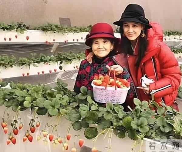 巨力集团杨子的父亲