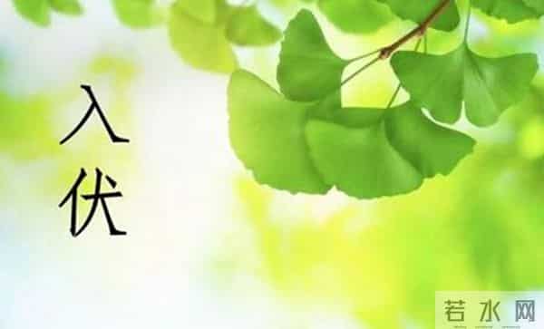 今年入伏是几月几日2021