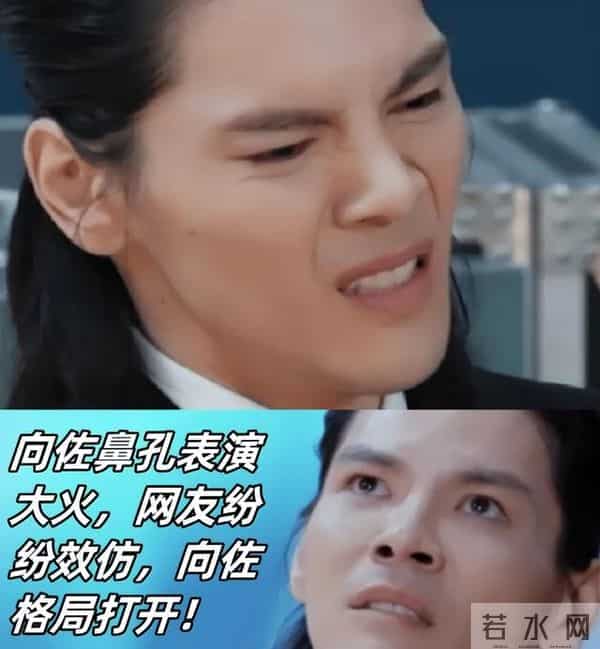 向佐被打事件真相