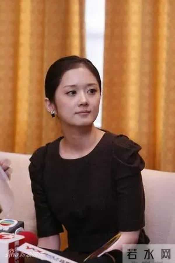 蔡依林个人简历