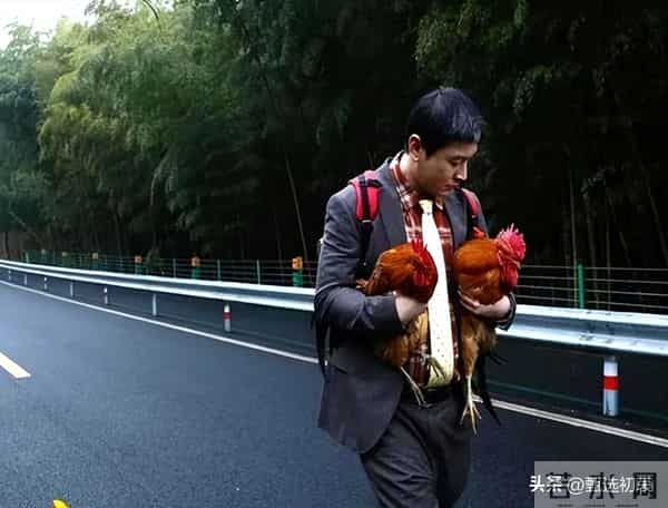 黄晓明个人资料