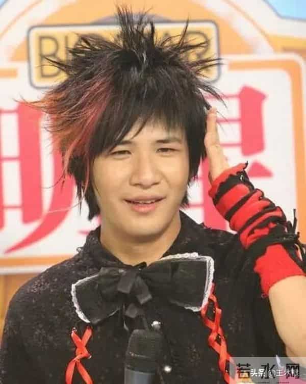 花儿为什么解散