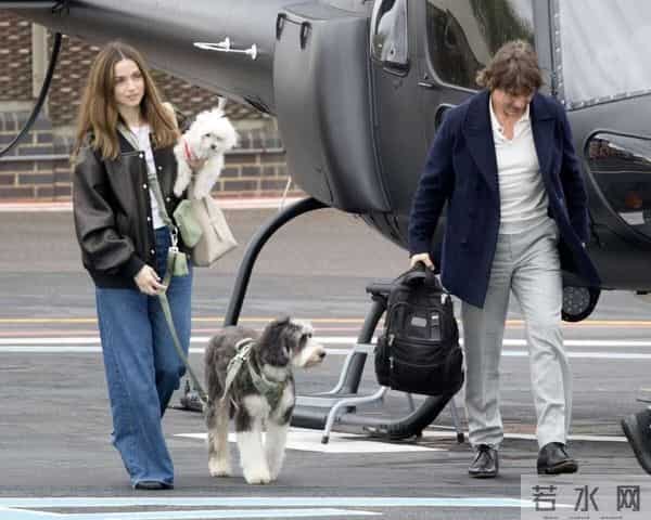 汤姆克鲁斯贝克汉姆