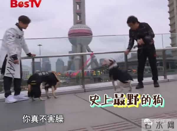 罗志祥老婆最喜欢的颜色