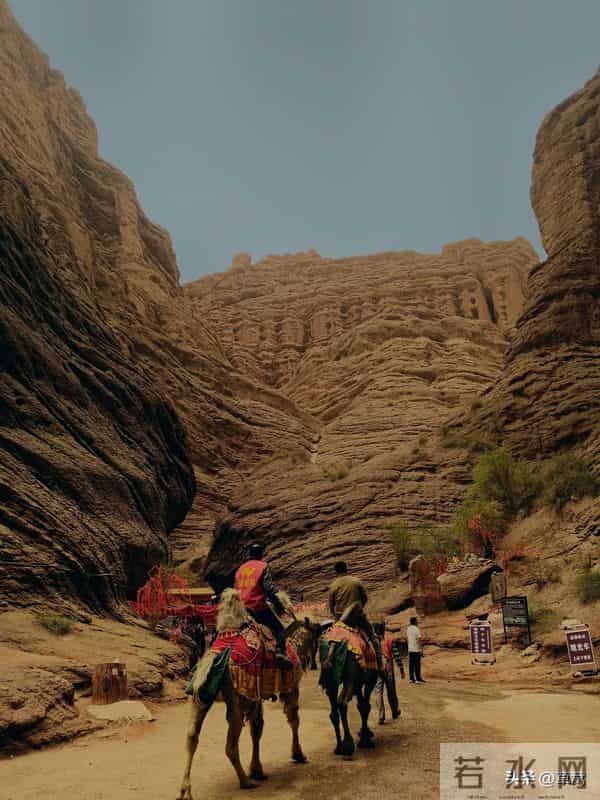 5月10日是什么日子-