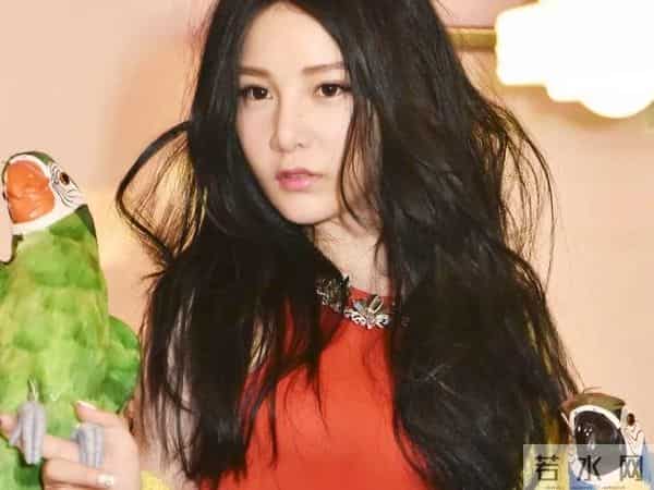 本兮童可可聊天记录