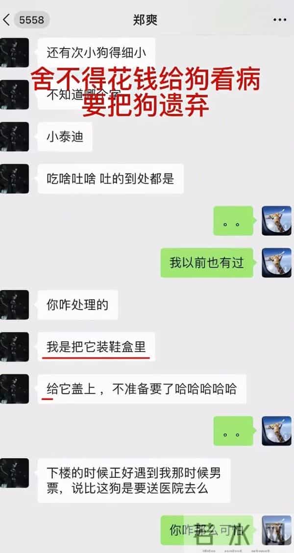 郑爽很早之前就放弃了自己的人设