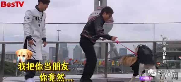 罗志祥老婆最喜欢的颜色