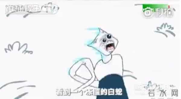 新白娘子传奇后传