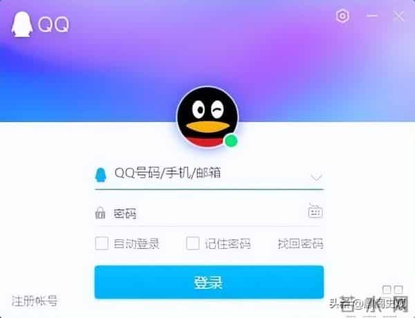 网络红人程琳资料