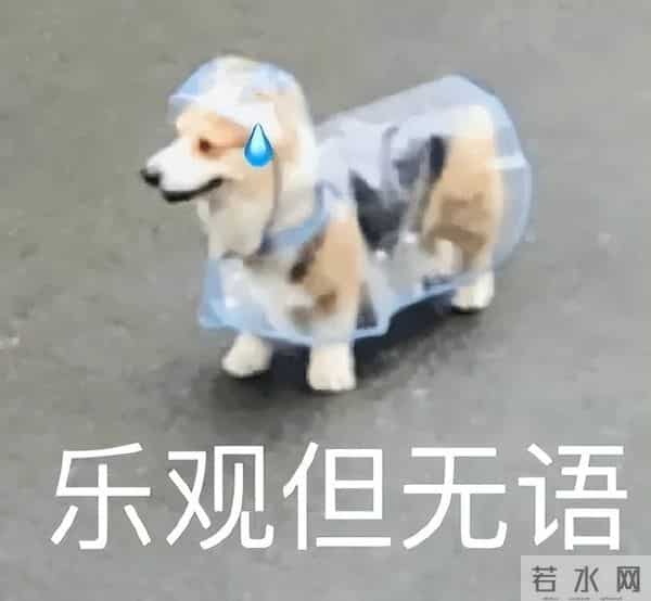 孟子义身上两条人命